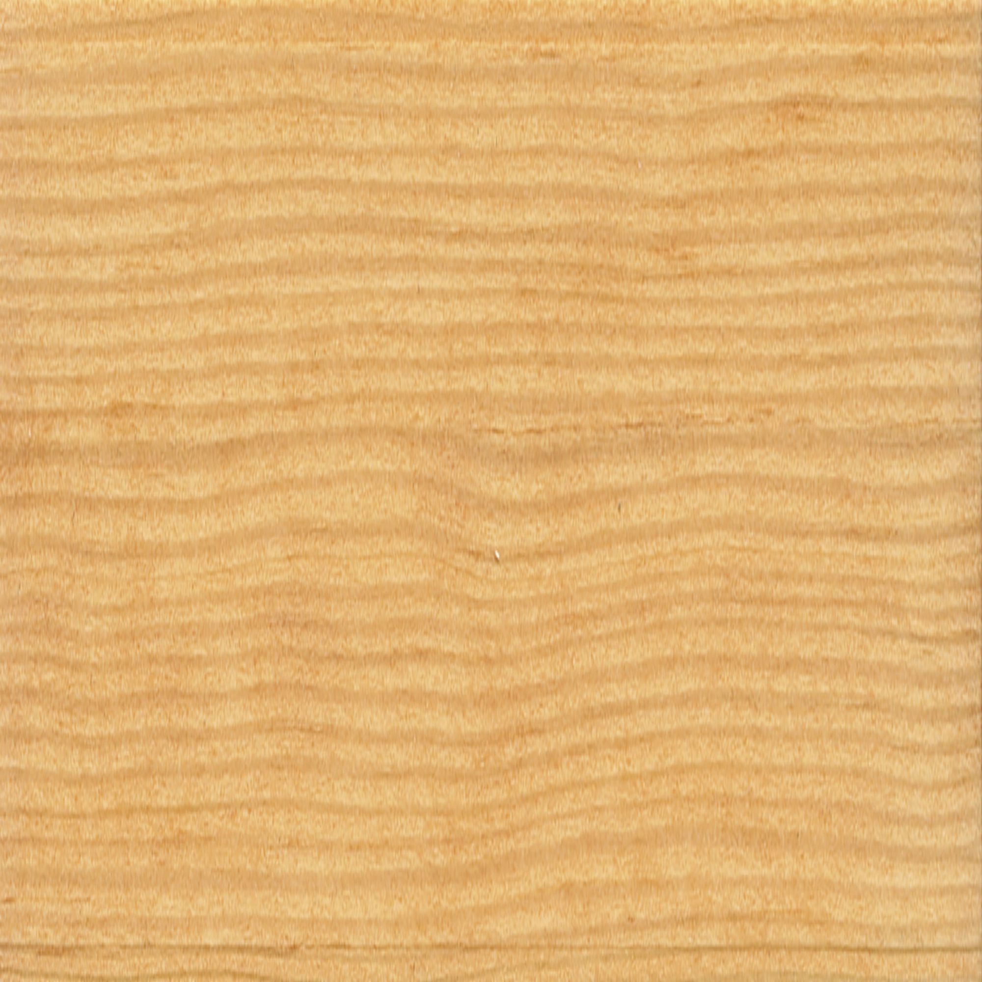 toom Teak-Öl transparent 2,5 l