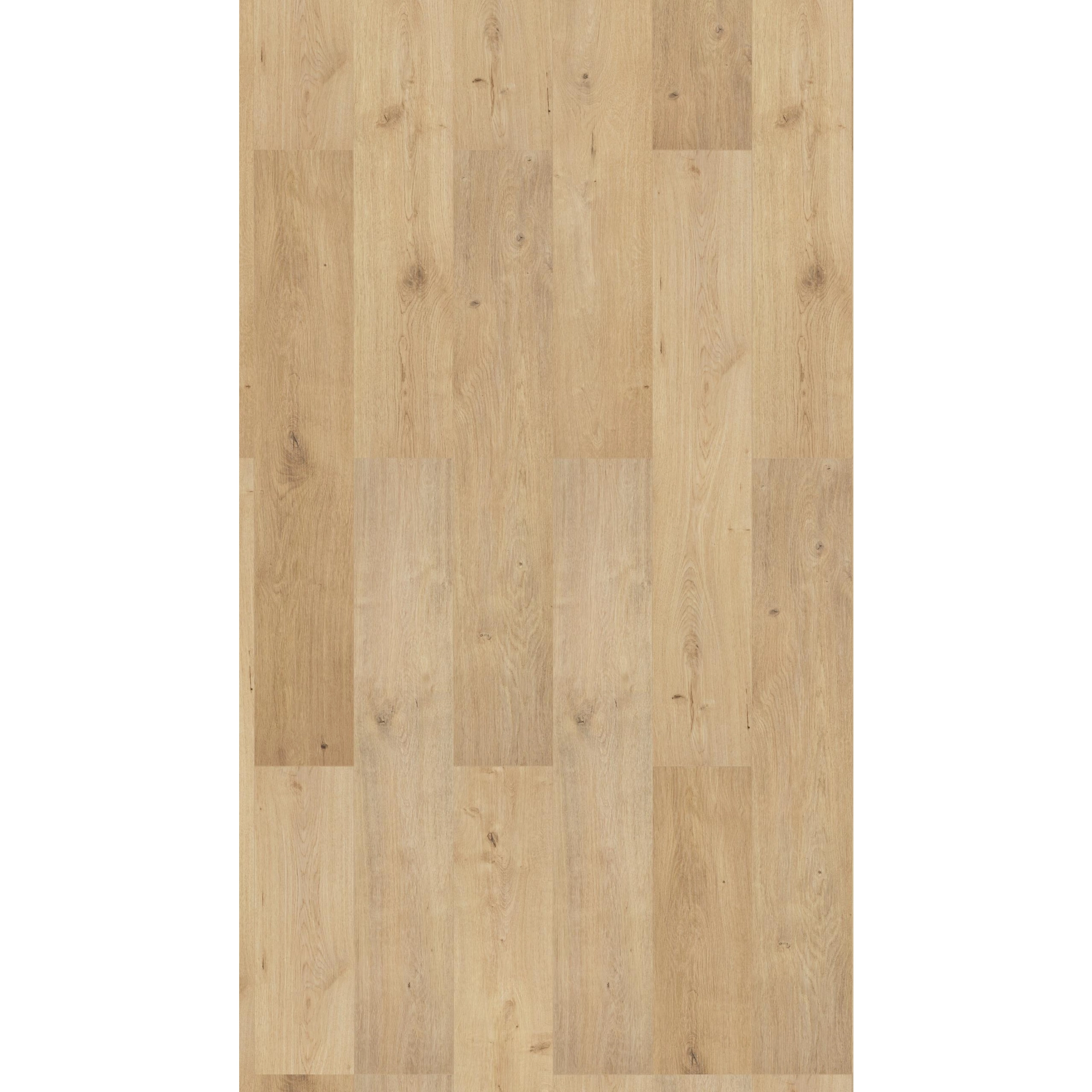 Classen Laminat '832-4 WR' wasserresistent Eiche natur-mix 8 mm