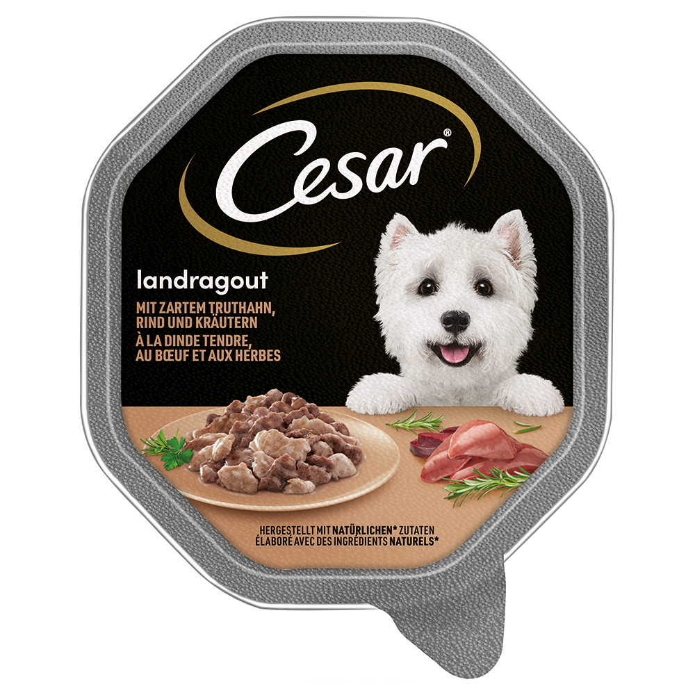 Cesar Landragout mit zartem Truthahn, Rind und Kräutern