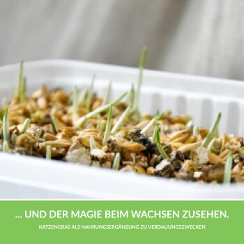 GimCat Soft-Gras 100 g