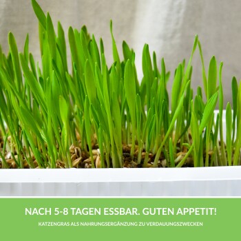 GimCat Soft-Gras 100 g