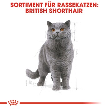 ROYAL CANIN British Shorthair Adult 400 g