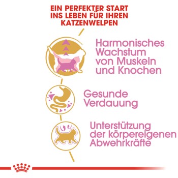 ROYAL CANIN British Shorthair Kitten 2 kg