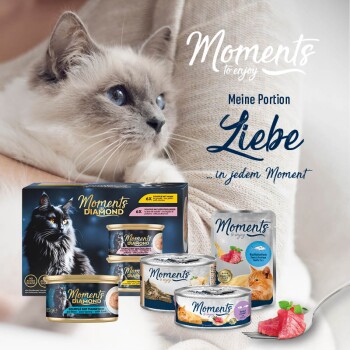 MOMENTS Adult Huhn mit Ei 12x70 g