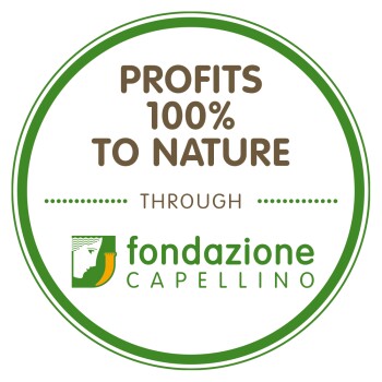 Almo nature Kitten 24x70g