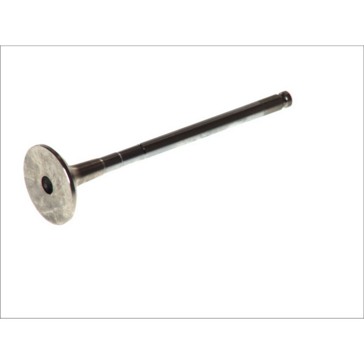 FRECCIA Auslaßventil R6114/RCR  FIAT,PEUGEOT,CITROËN,Ulysse (179_),Scudo Kastenwagen (220_),Scudo Kombi (220_),ULYSSE (220),206 Schrägheck (2A/C)