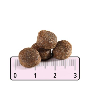 MultiFit Trockenfutter Hund Junior, mit Geflügel & Reis 12 kg