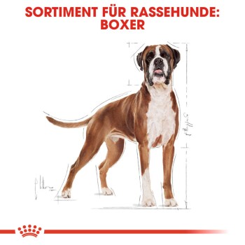 ROYAL CANIN Boxer Adult 12 kg