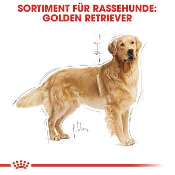 ROYAL CANIN Golden Retriever Adult 12 kg