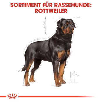 ROYAL CANIN Rottweiler Adult 12 kg