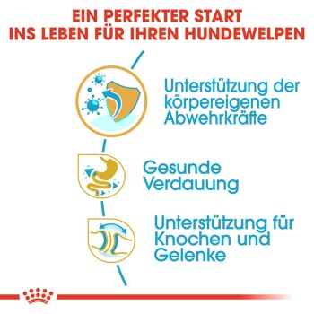 ROYAL CANIN Bulldog Puppy 12 kg