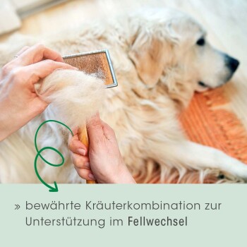 cdVet Fell & Haut Vital 750 g