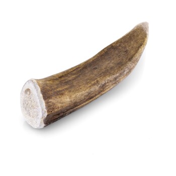 Larsson Geweih M ca. 80-120g