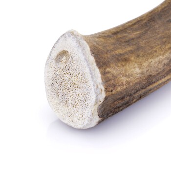 Larsson Geweih M ca. 80-120g