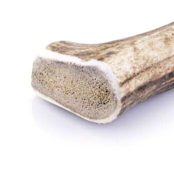 Larsson Geweih L ca. 120-160g