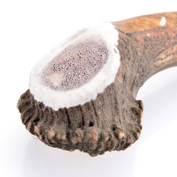 Larsson Geweih XXL ca. 250-350g