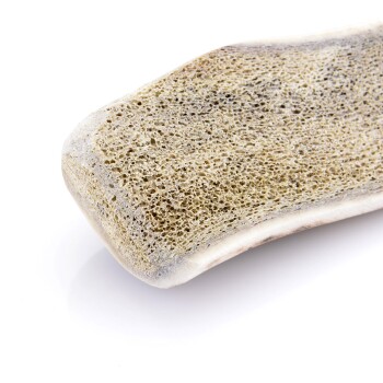 Larsson halbiertes Geweih S ca. 50-80g