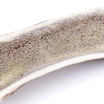 Larsson halbiertes Geweih M ca. 80-120g