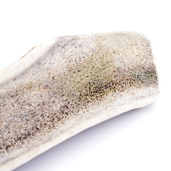 Larsson halbiertes Geweih L ca. 120-180g