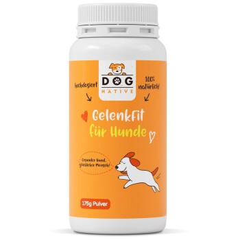 Dog-Native GelenkFit für Hunde, natürliches Gelenkpulver, Gelenk Fit Pulver mit Grünlippmuschel, MSM, Kollagen & Chondroitin für Gelenke & Knochen, 175g
