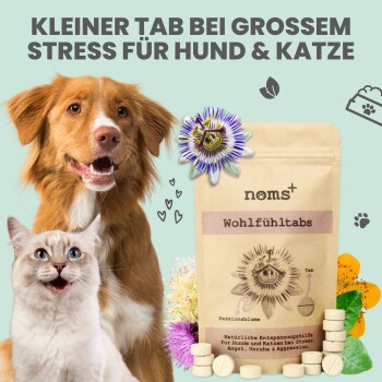 noms+ Wohlfühltabs für Hunde bei Stress & Angst 110g