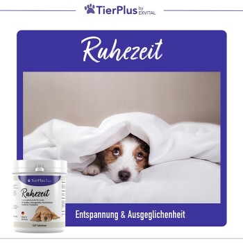 TierPlus ® Ruhezeit mit Baldrian