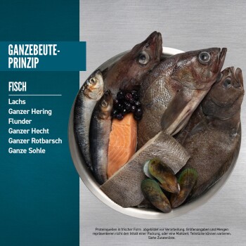 Orijen Small Breed Marine Adult Lachs & Hering 2x4,5 kg