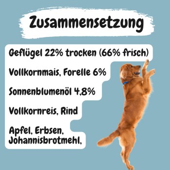 MyPetClub kaltgepresstes weizenfreies Hundefutter mit hohem Fleischanteil