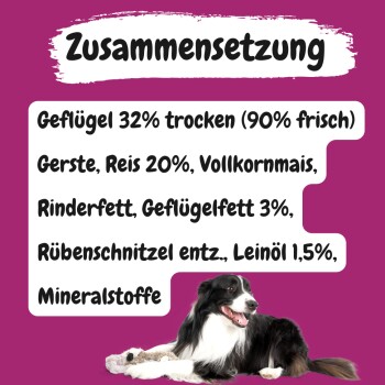 MyPetClub weizenfreies Trockenfutter für Hunde mit Ente, Huhn & Pute und hohem Fleischanteil
