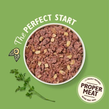 LILY'S KITCHEN Nassfutter für Hunde Adult Hirsch 6x400 g