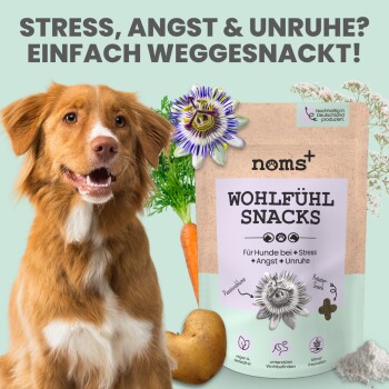 noms+ Wohlfühlsnacks für Hunde bei Stress & Angst 150g