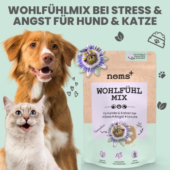 noms+ Wohlfühlmix für Hunde & Katzen bei Stress & Angst 150g