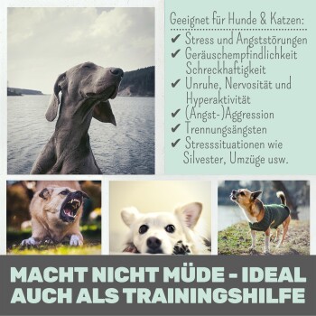noms+ Wohlfühlmix für Hunde & Katzen bei Stress & Angst 150g