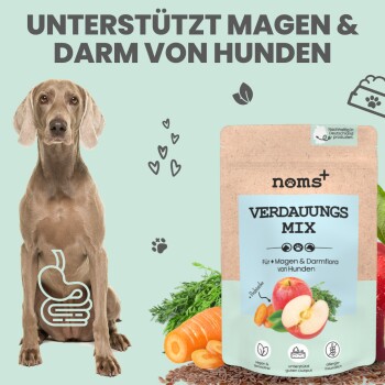 noms+ Verdauungsmix für Hunde als Probiotikum 150g