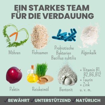 noms+ Verdauungsmix für Hunde als Probiotikum 150g