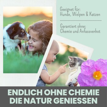 noms+ Zistrosen Tabs für Hunde & Katzen 150g