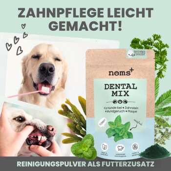noms+ Dentalmix für Hunde zur Zahnpflege und für frischen Atem 150g