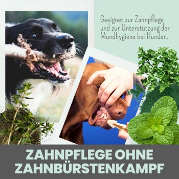noms+ Dentalmix für Hunde zur Zahnpflege und für frischen Atem 150g