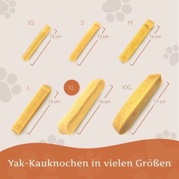 Wildfang Kaukäse - Hartkäse Kaustab XXL 1 Stück