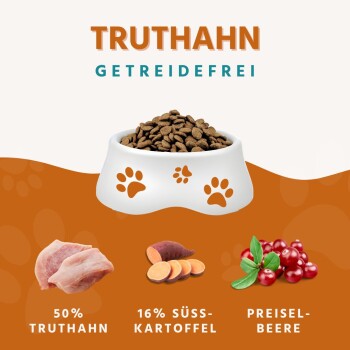 Wildfang ® Senior Trockenfutter mit Truthahn 2x6 kg