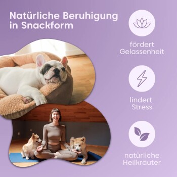 Pfotenkumpels Seelenyoga Beruhigungssnacks 200g