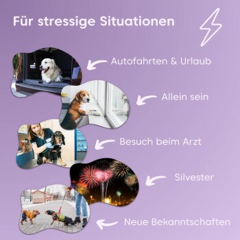 Pfotenkumpels Seelenyoga Beruhigungssnacks 200g