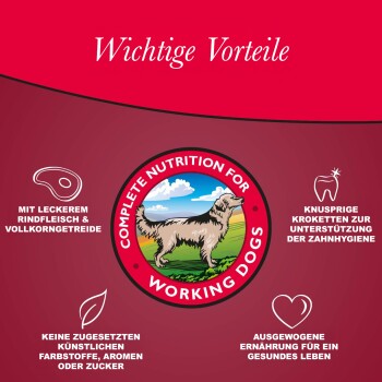 Arkwright mit Rind 15kg