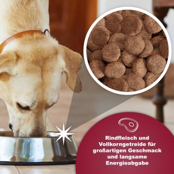 Arkwright mit Rind 15kg