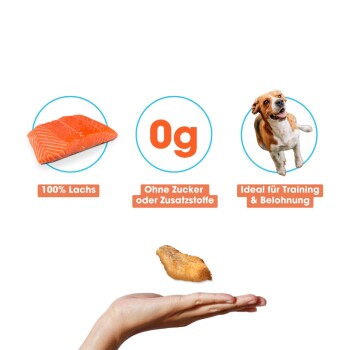 KAUDAS LachsPur Natursnack 3x50g