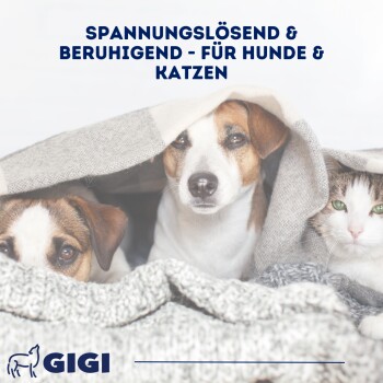 GIGI VET da-ba RELAX Plus Für Hunde und Katzen 90x144 g