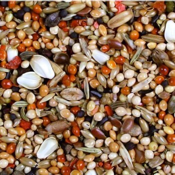 JR Farm Premium Agapornide 1kg