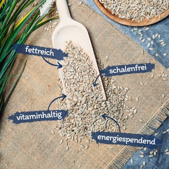 Lyra Pet Sonnenblumenkerne geschält 20 kg