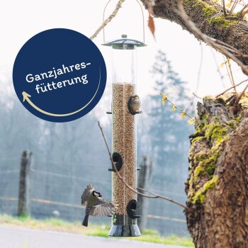 Lyra Pet Sonnenblumenkerne geschält 20 kg