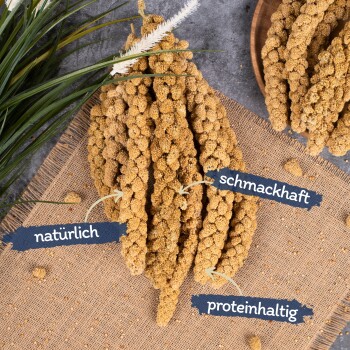 Lyra Pet Kolbenhirse gelb 10 kg